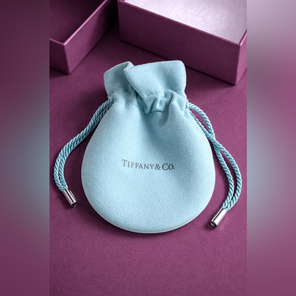Tiffany & Co Blue Box + Pouch Set Authentic Jewelry Packaging Gift Ready - Picture 4 of 6